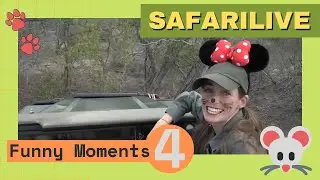 Подборка смешных моментов и ляпов с Safarilive, часть 4.