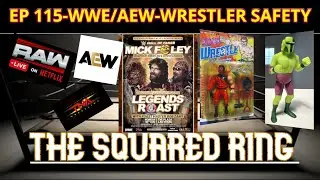 WWE RAW, AEW, WRESTLER SAFETY, KNOCK OFF FIGURES AND COLLECTION CHECK