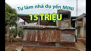 Cận cảnh tự l&agrave;m nh&agrave; yến Mini chỉ với 15 Triệu của Quyền V&otilde;