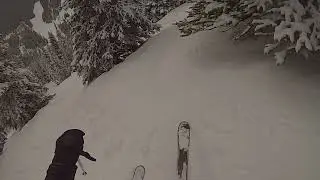 Ptarmigan Glades - Lake Louise