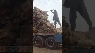 unloading #wheelsaw #bridgesaw #carpentry #machine #sawblade #woodworkingmachine