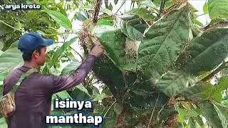 Сначала я надеялся на минимум, но в итоге получился максимальный результат!