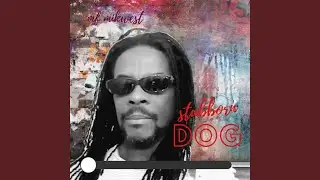 Stubborn Dog