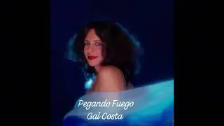 Pegando Fuego- Gal Costa (RARIDADE ESPANHOL)