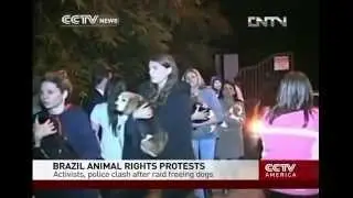 Brazil animal rights protests: Activists, police clash after raid freeing dogs