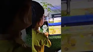 OunTop feeding fishes #shorts #viral #ountop