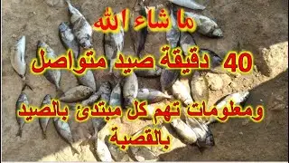 كل ما يحتاجه الصيّاد المبتدئ للصيد بالقصبة البلدية صيد مواسطة غبّس سرغوس بعجينة القريدس الخاصة