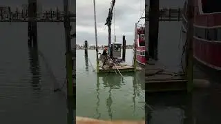 Big pole little hole wild fast N deep.