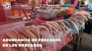 Abundancia pescados y mariscos reduce su precio