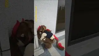how embarrassing😅 #fyp #furries #furry #fursuit #fursuiters #therian #cosplay shorts #viral
