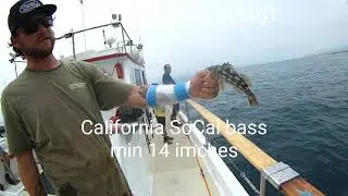 Oceanside California party Boat fishing - to catch the beautiful California sheepshead in August2025