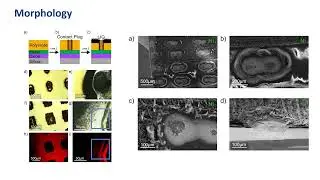 Direct-write Formation of Integrated Bottom Contacts to Laser-Induced Graphene Carbon EMRS Spring 22