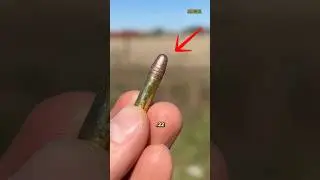 Why the Smallest Bullet in America Is the Deadliest #shorts