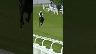 Jockey falls off horse at 40mph #horse #horseracing #racingtv #sport #britishhorseracing