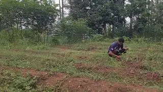 Farmer's Wisdom: Effective Weed Removal for Crop Protection _FarmersLife _Shorts