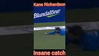 Kane Richardson insane catch #cricket #kanerichardson #catch #insanelift #kane  #richardson