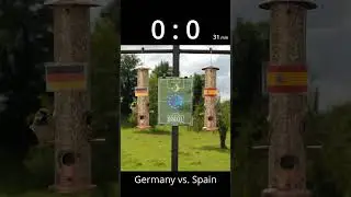 EM Orakel Deutschland vs  Spain #EMorakel #Orakel #Tierorakel #Fussball #EM