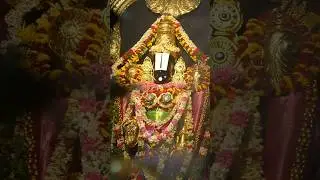 🪔🌺Today's Aarti Darshan And Door Opening Ritual Of Shree Tirumala Tirupathi Balaji Swamy Temple 🕉️🚩