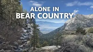 Alone in Bear Country at Mt. Whitney Portal (Early Season Hike)