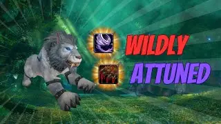 Feral Druid 10.1 Solo Shuffle #2