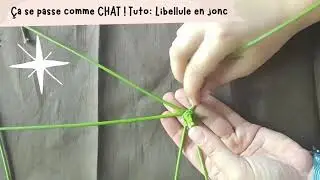 Cr&eacute;ation nature -  Jouet buissonnier - Tuto libellule en jonc
