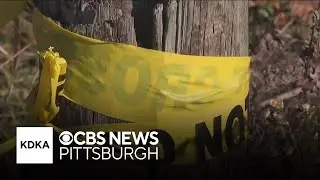 Man arrested after body found on state game lands in Westmoreland County