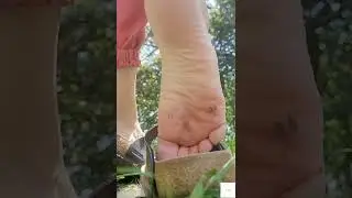 POV: litte creature hiding in the grass - Giant feet #Birkenstocks #feet #soles #crush #shoeplay 