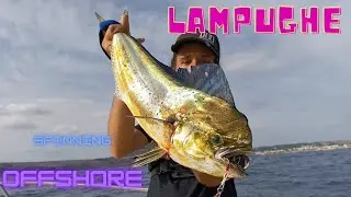 LAMPUGHE SPINNING OFFSHORE con metal jig/ mahi mahi offshore spinning with metal jig