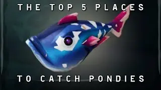 The Top 5 Places To Catch Pondies! (Sea Of Thieves)