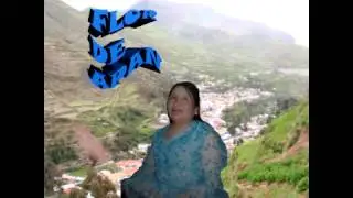 Flor de Apan- Forastero de Carhuamayo