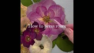 Learn How to Press Flowers