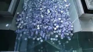 CONTINUOUS CRATELESS  STERILIZATION SYSTEM