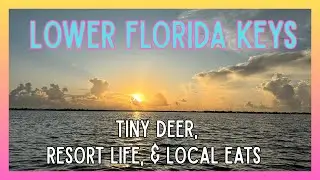 Lower Florida Keys Escape! Key Deer, Hidden Islands & Iconic Eats with The Peg Leg Penman