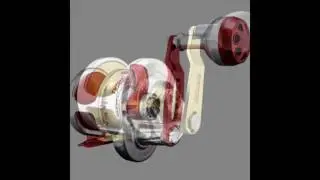 Accurate Reel Accurate Fishing Reel Ocean State Tackle RI's Best Tackle Shop