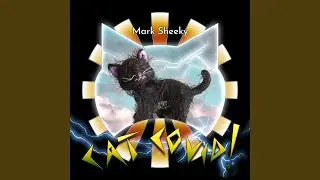 Cat Covid!