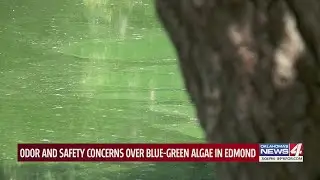 Edmond man hoping to fix blue/green algae in local pond