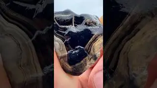 Black bands 🖤 #agates #agate #agatehunting #rockhounding #rockhound #beachcombing