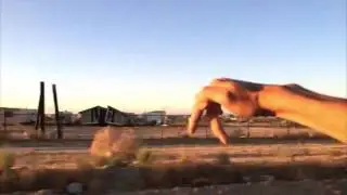 Desert Pole Dancers