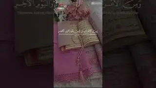 Surah Al-Furqan | Verse 72 #lslamic #birds #shortvideo #quranrecition
