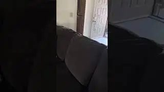 Little after school routine