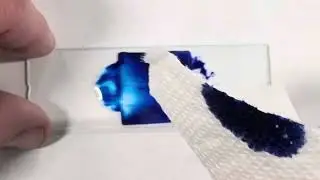 How To Make A Cheek Cell Slide