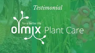 Olmix Plant Care testimonial: Boosting sustainability in Cambodian agriculture