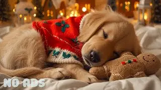 12 Hours Soft Calming Music for Dogs 🎁 Keeps Dogs Calm & Quiet When Home Alone 💤🎄 No Ads