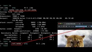 (SEO)What is WebP? How to use WebP? How to convert image using Python?