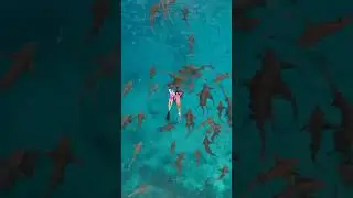 Places to visit if you are an animal lover