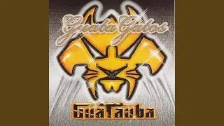 Guata Cats