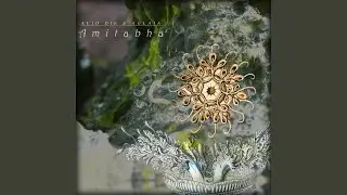 Cosmological Scale