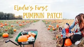 ELODIE'S FIRST PUMPKIN PATCH | DAD DEPLOYED | PUMPKIN CARVING