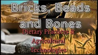 Bricks, Beads and Bones || Harappan Civilisation || Dietary Practices and Agricultural Technologies