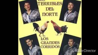 2 Gallos  -  Los Terribles Del Norte